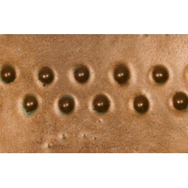 Saturation Gold - 16oz Amaco Potters Choice Cone 5 Glaze